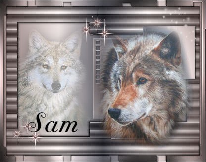 Sams tag